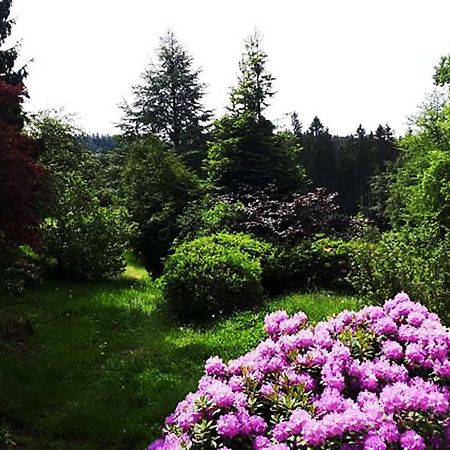 Green Corner Nuerburg Luaran gambar